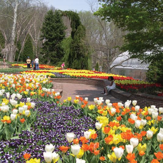 "Hop" over to these public gardens in Spring (and other times of year) to see hundreds of blooms.