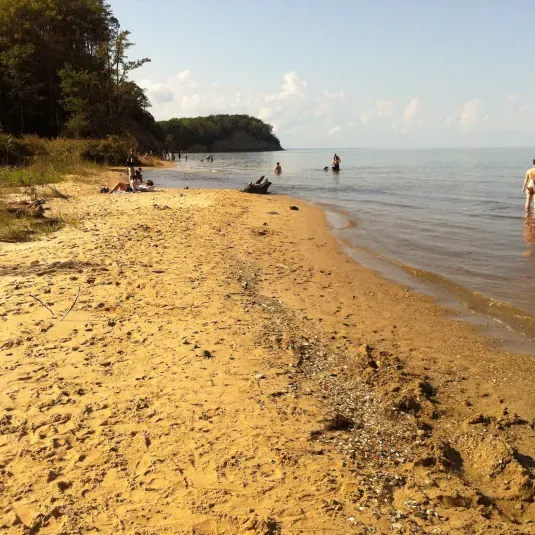 This Chesapeake Bay beach is famous with fossil hunters looking for sharks teeth.