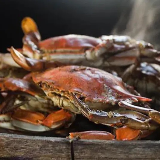 Crabs on a Barrel