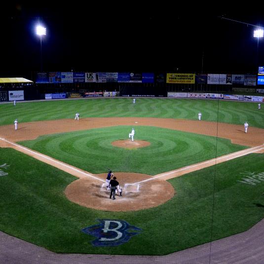 Southern Maryland Blue Crabs Baseball Bliss
