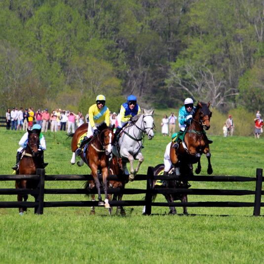 The Maryland Hunt Cup