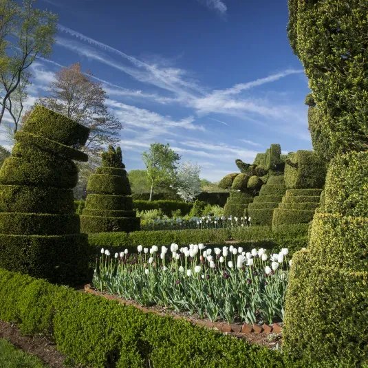Meander through 22 acres of topiary gardens, tour Harry Ladew's historic Manor House, or saunter along the Nature Walk to appreciate the beauty and charm of Ladew Gardens.