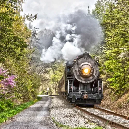 The Western Maryland Scenic Railroad runs excursion trains out of the Western Maryland Railway Station in Cumberland.