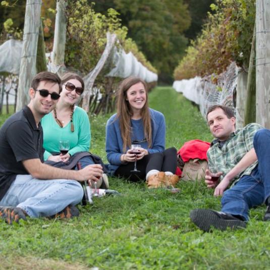 People drinking wine