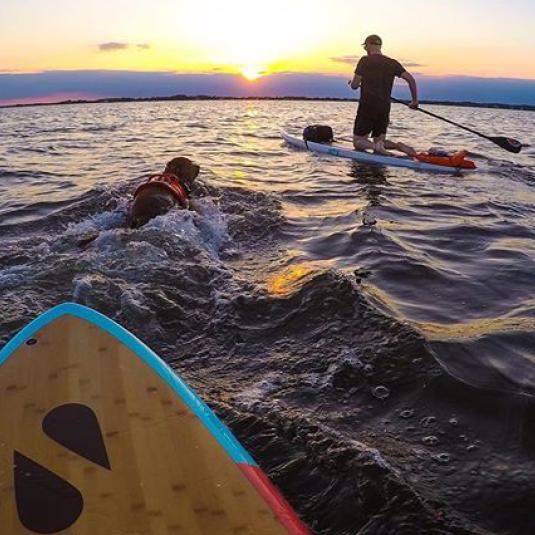 Sunset Paddle
