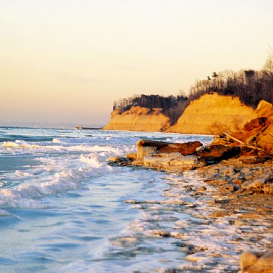 The breathtaking Calvert Cliffs at Lusby are reached via hiking trails through lush woods and wetlands in Calvert Cliffs State Park.