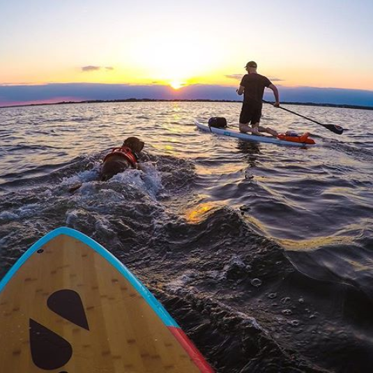 stand up paddleboarding