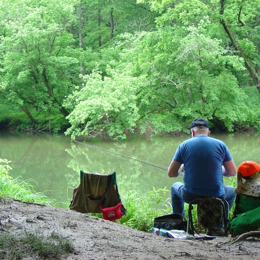 Visit Gunpowder Falls State Park, where a trout stream, surrounding greenway and trail network provide a natural place to escape and unwind.