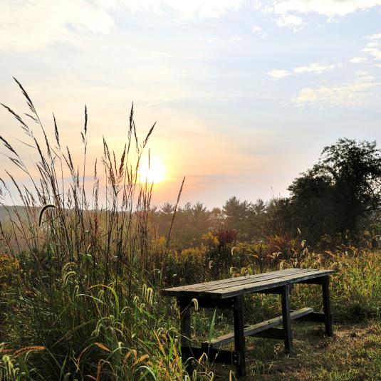 The Audrey Carroll Audubon Sanctuary wildlife reserve in Mount Airy consists of 129 acres of open and wooded walking trails, streams and a pond.