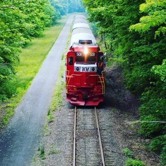 Train on Tracks