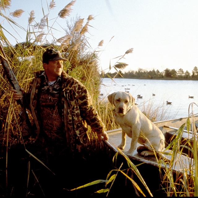15 Top Places to Go Hunting and Fishing in Maryland