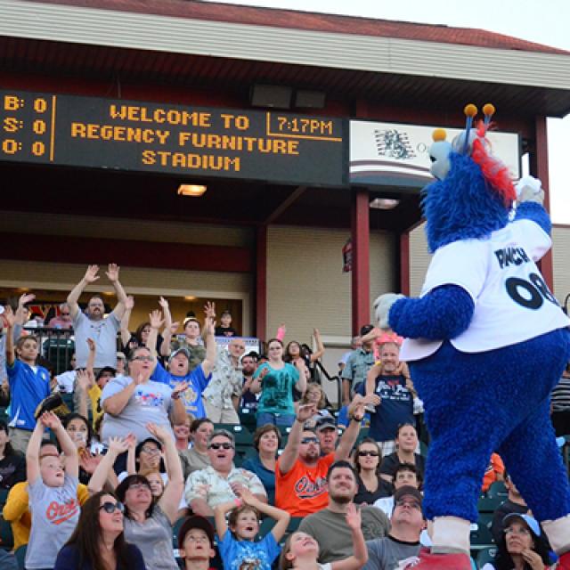 Blue Crabs Stadium Seating Chart