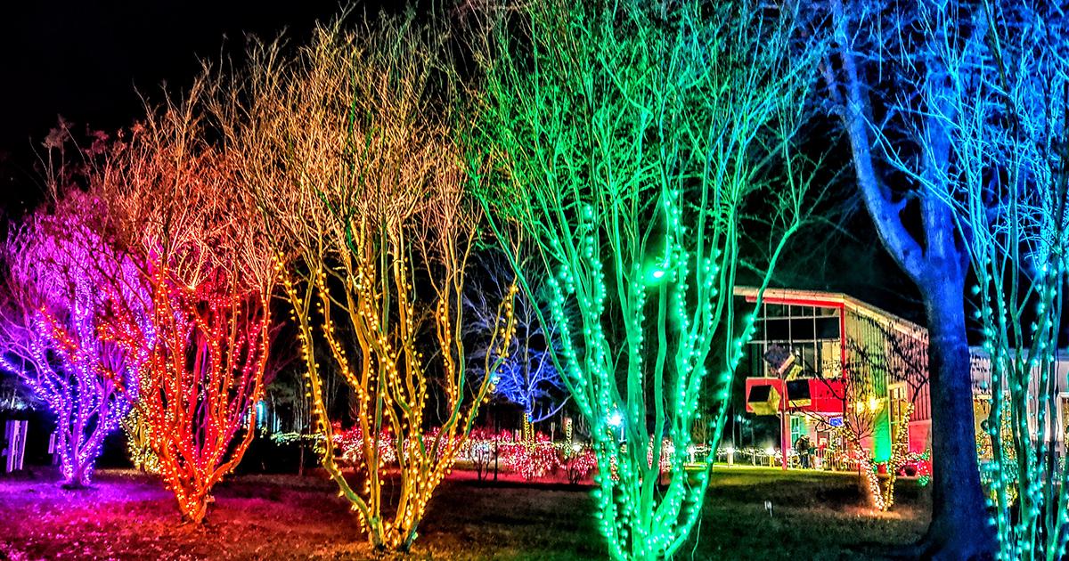 Holiday Light Displays | VisitMaryland.org