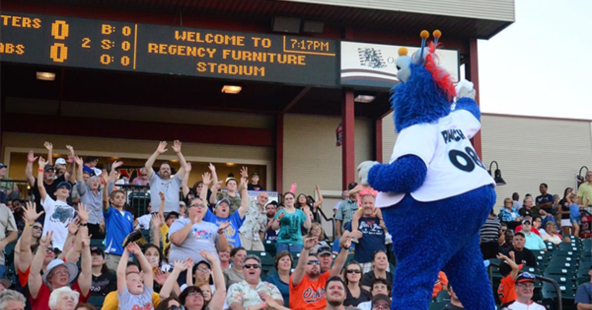 Southern Maryland Blue Crabs Baseball Bliss