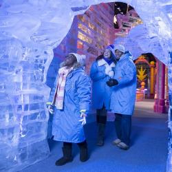Visit ICE! this season. Photo