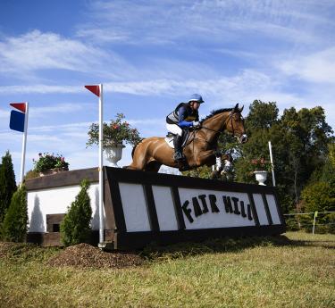 Horse jumping a fence