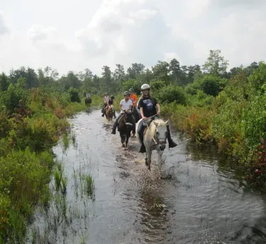 Horrseback riders on a stream trail from Hoof Prints Trail Riding Center