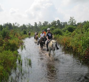 Horrseback riders on a stream trail from Hoof Prints Trail Riding Center