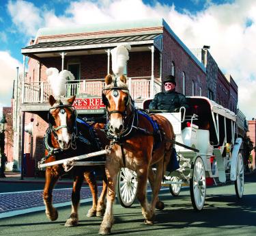 Christmas Horse Carriage