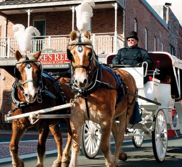 horse & carriage