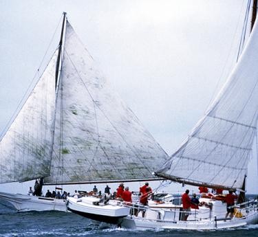 Deal Island Skipjack Race