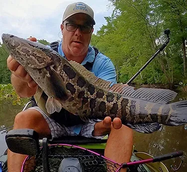 A man holding up a Chesapeake Channa that he caught
