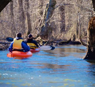 Paddle the Tuckahoe Creek
