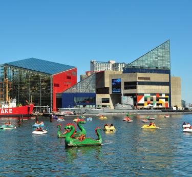 Baltimore National Aquarium
