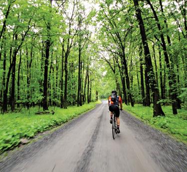 Gambrill State Park, Middletown