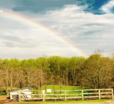 Graham Equestrian Center property with a rainbow overhead