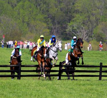 The Maryland Hunt Cup