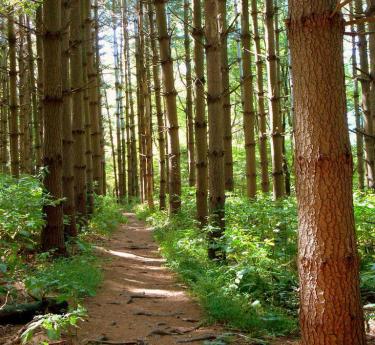 Seneca Creek State Park, Gaithersburg