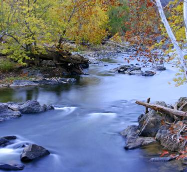 Potomac State Forest, Oakland