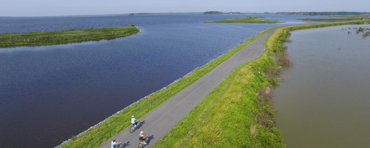 Biking at Blackwater National Wildlife Refuge three bikers in waterfront trail