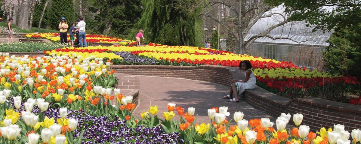 Things to Do in Spring | Visit Maryland