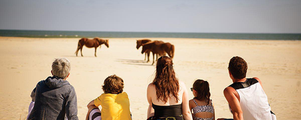 Family on the beach with ponies Family on the beach with ponies