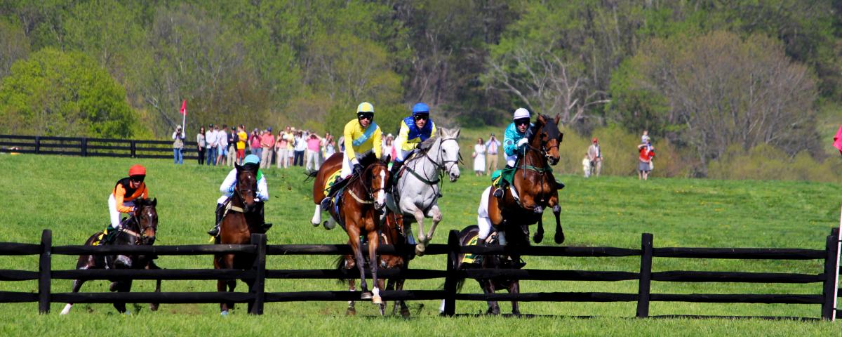 The Maryland Hunt Cup The Maryland Hunt Cup