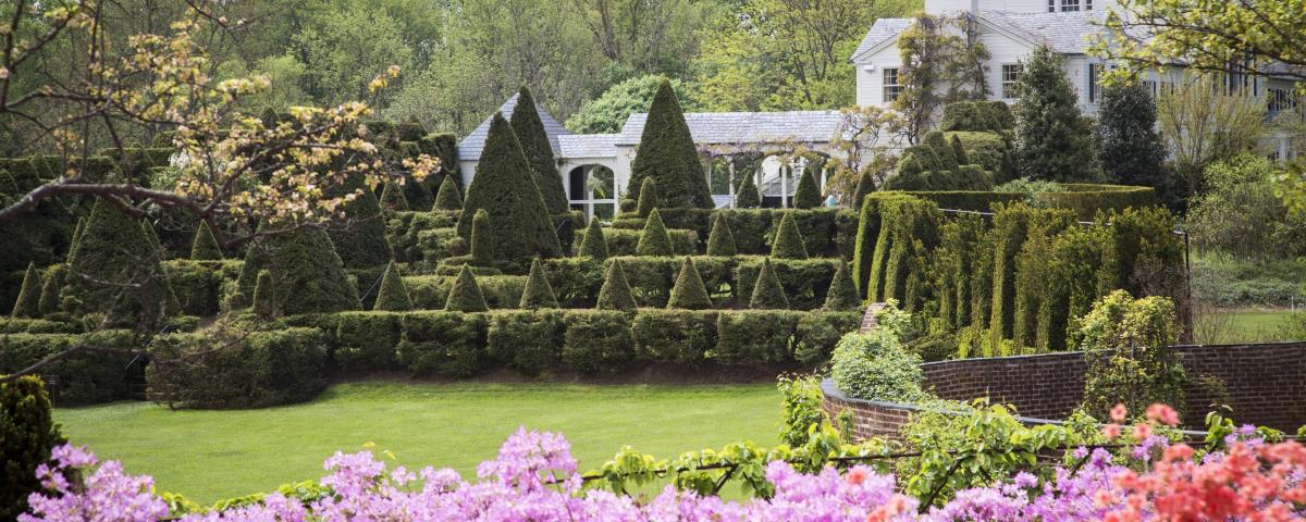 Ladew Topiary Gardens - Azaleas Ladew Topiary Gardens - Azaleas