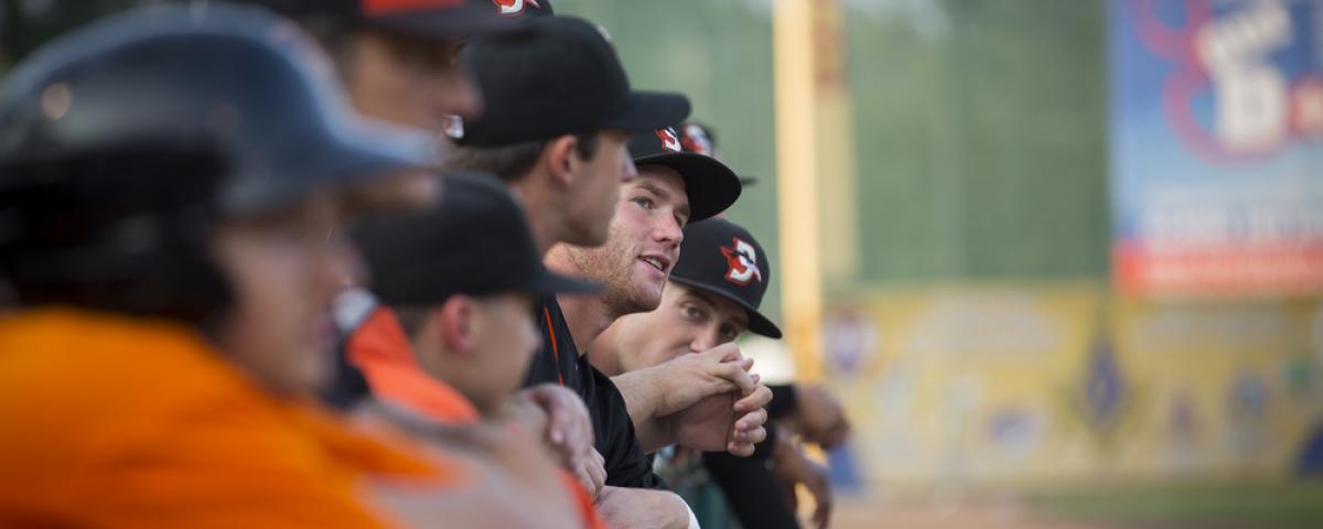 Shorebirds Dugout Shorebirds Dugout
